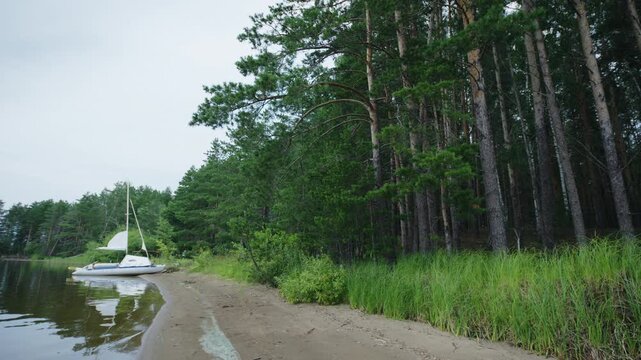 Sailing boat beached on the wild area near the lush green forest