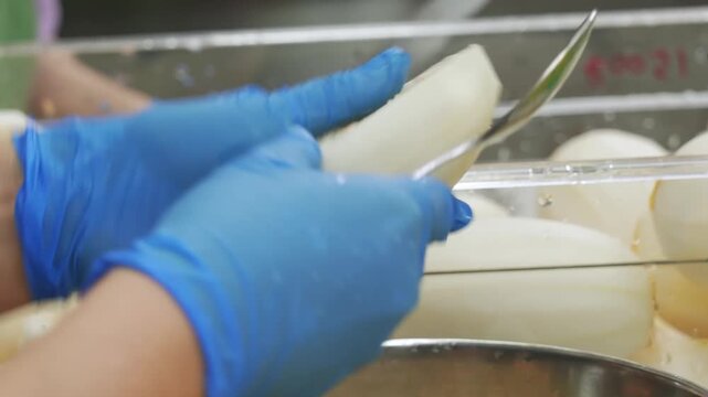 Close-up shot of an industrial food production line worker wearing blue nitrile gloves, manually handling, inspecting, and prepping peeled white onions in a commercial processing plant kitchen.