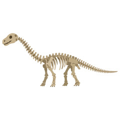 Long Neck Dinosaur Skeleton Fossil Illustration © olya
