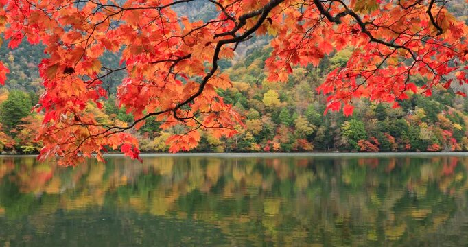 奥日光の紅葉の湯の湖