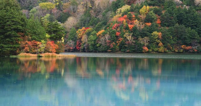 奥日光の紅葉の湯の湖