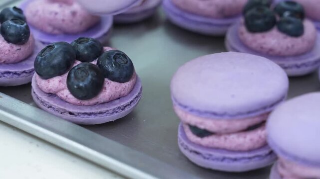 Close-up of a pastry chef wearing hygienic white gloves carefully placing the top shell on a vibrant purple macaron filled with pink berry cream and fresh whole blueberries on a commercial metal bakin