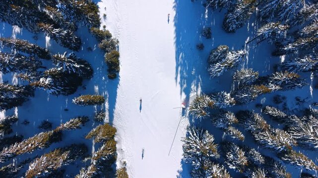 Top down view of a snowy ski trail through dense pine forest. Two figures glide along the bright white path casting long dark shadows under full daylight.