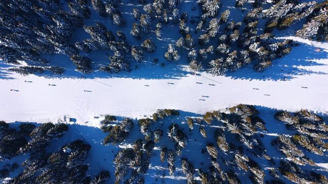 Aerial top down view of a horizontal ski slope in the forest. Small figures travel along the wide white track between rows of snow covered pine trees.
