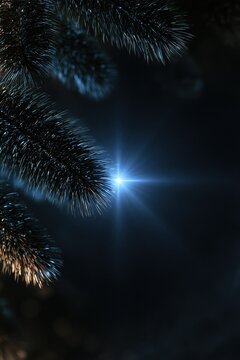 Pine branch with a blue light glow against a dark background, creating a minimal winter holiday backdrop for seasonal design.