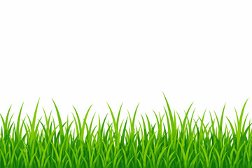 Fototapeta premium Green grass border illustration with fresh blades of lawn growing in a horizontal pattern for spring and summer nature design elements