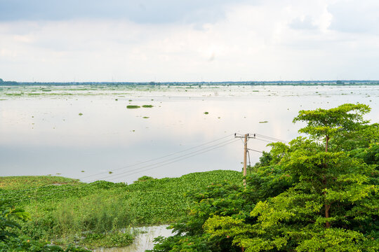 Wide wetland landscape with calm water and green vegetation
