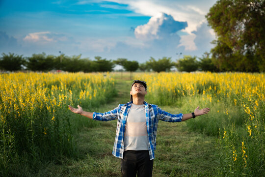Person standing peacefully in a yellow flowering field