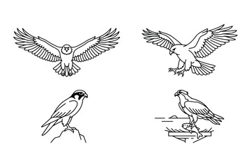 Fototapeta premium Birds of prey vector illustration featuring eagles and hawks in various flying