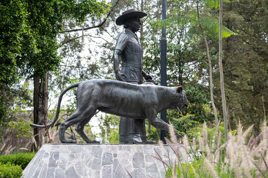 Puebla, Mexico - June 9 2026: Impressive bronze statue of a safari guide alongside a majestic big cat at Africam Safari Puebla Zoo, surrounded by lush vegetation.