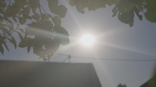 Bright sun above a house roof behind leafy branches