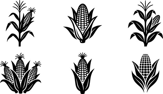 Black and white corn icons with leaves, vector illustration
