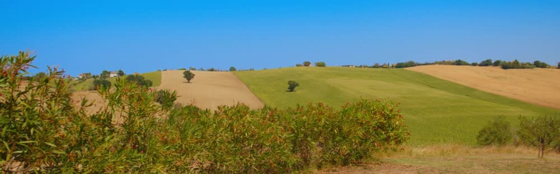 Cinematic View Across the Rolling Hills of the Ancona Region