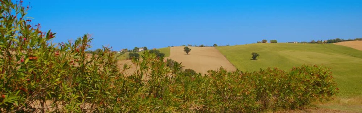 Layered Hills and Rural Fields in the Countryside of Ancona