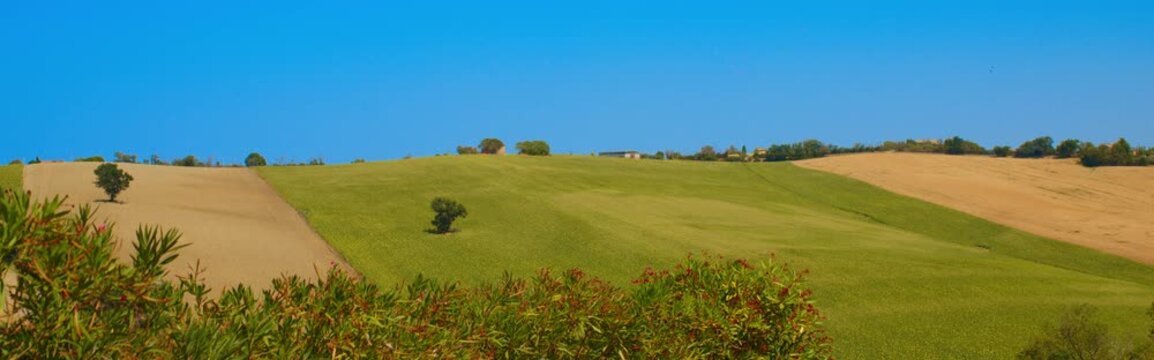 Peaceful Farmland and Tree-Lined Hills Near Ancona, Italy