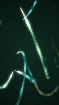 Athletic Motion Trails Sweeping Light Streaks with Strobe Afterimages Seamless Loop in calm lime tones vertical 9:16