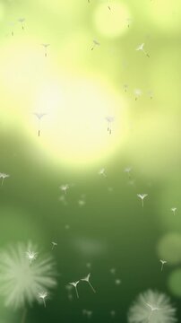 Dandelion Seeds Drifting on the Breeze Over a Soft Focus Meadow Seamless Loop in vibrant green tones vertical 9:16