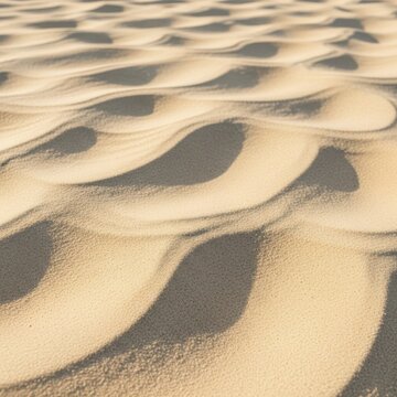 Close up of fine sand grains forming wavy patterns and wind ripples on a beach or desert dune with soft side lighting creating shadows and selective focus depth of field.