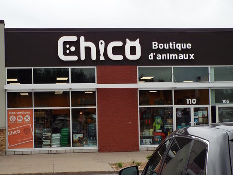 Gatineau, Quebec, Canada &ndash; June 26, 2026: The storefront of "Chico Boutique d'animaux" pet store features large glass display windows, signage, and a parked car at 59 Rue Eddy.