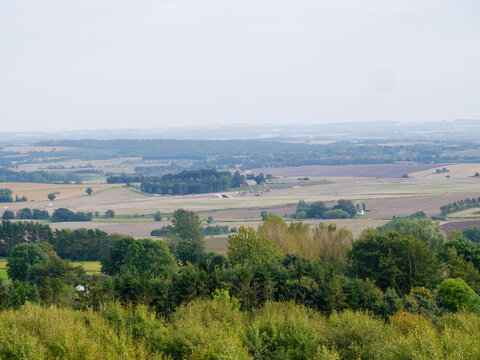 Landschaft mit B&auml;umen und Feldern