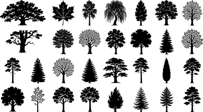various deciduous trees silhouettes on the white background
