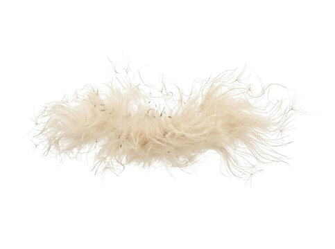Textura suave de boa de plumas de color crema o beige claro, con filamentos esponjosos y ligeros, aislada sobre fondo blanco.