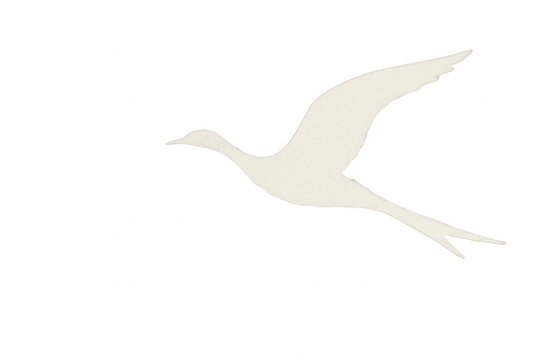 Silueta minimalista de un p&aacute;jaro volando con alas extendidas sobre un fondo blanco puro, ideal para dise&ntilde;o gr&aacute;fico, logotipos, iconos y proyectos creativos de naturaleza y libertad.