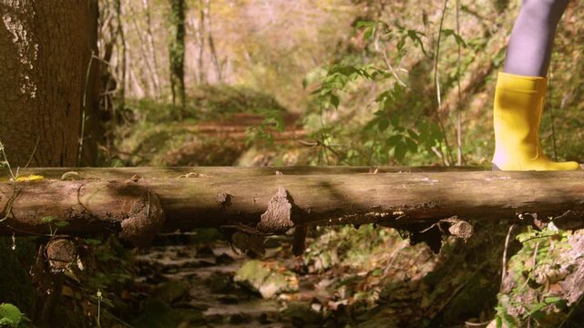 CLOSE UP: Woman in bright yellow rain boots crossing a rustic wooden bridge over a small forest creek, followed by two obedient mixed breed dogs. Peaceful walk through the woods on a sunny autumn day.