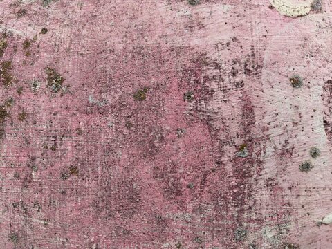 Weathered pink mauve textured wall with lichen, abstract background