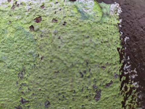 Soft blurred lime green texture with dark brown edge, abstract background