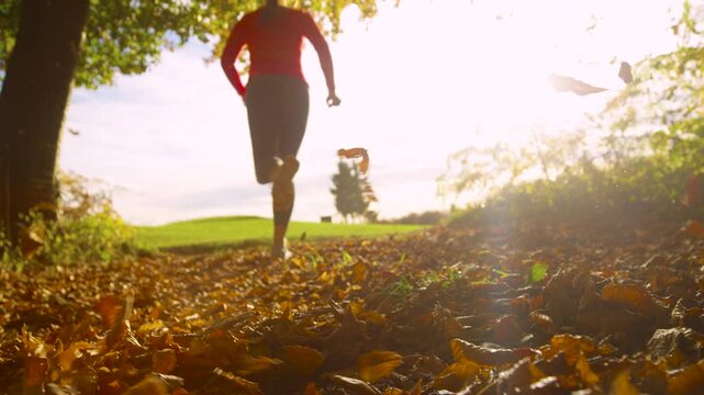 LENS FLARE, LOW ANGLE, SLOW MOTION: Fit woman running with her dogs along forest path covered with fallen leaves in warm autumn light. Outdoor activity with furry companions in a seasonal atmosphere.