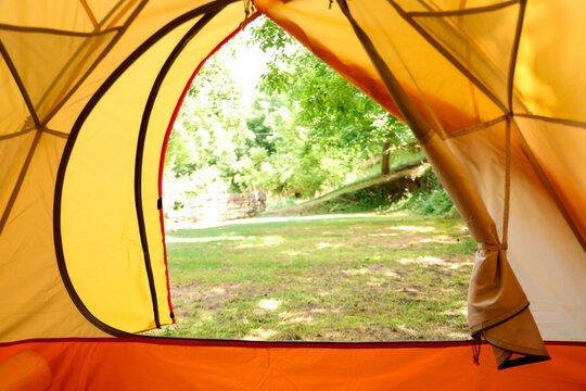 View from inside tent on beautiful forest