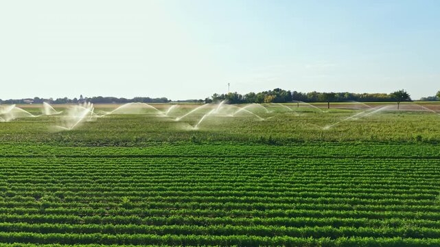 Water is spraying over a green farm field from an irrigation system. The scene shows rows of crops in the background and clear skies above.