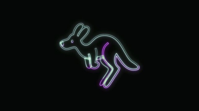  Kangaroo Icon Neon Seamless Loop 4K with Black Background Animated Promotional Typography for Video Editing