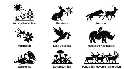 Obraz premium Ecological Processes and Biological Interactions.