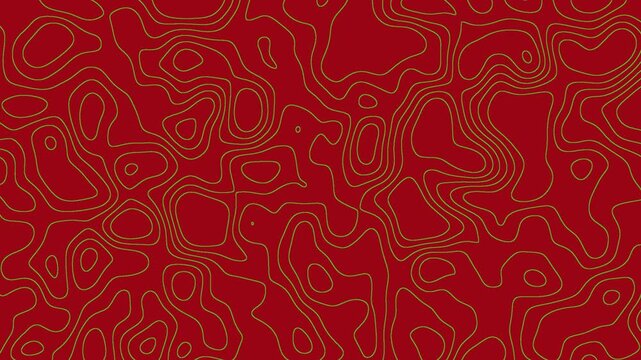  Topographic Map 4K Wallpaper Animation for Modern and Geometric Visuals