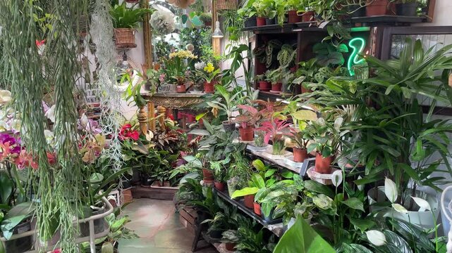 Stylish city garden boutique with lush greenery and decor