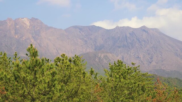 Sakurajima Volcano Island landscape, Japan, Kagoshima prefecture, Kyushu island region, island volcano and bay, Yunohira Observation Deck, ferry trip from Kagoshima, Kirishima-Kinkowan National Park 