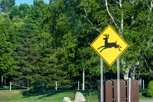 Gaspesie, Quebec, 11 July 2026 : A yellow diamond-shaped road sign with a black deer silhouette warns drivers of deer crossing.