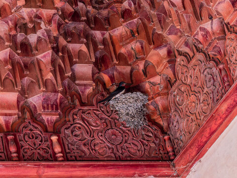 Schwalbennest rotes Meisterwerk
