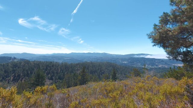 view of a California forest with mountains