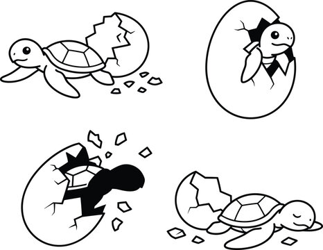 Black and white illustration sequence showing baby turtle hatching process from cracked egg emergence to crawling away, educational wildlife conservation biology artwork