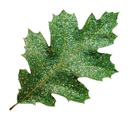 Fototapeta premium PNG Glittery green maple leaf isolated on white background
