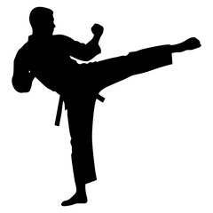 Black silhouette of a karate kick © Kuldi