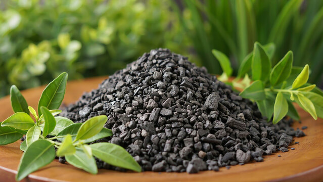 Natural Charcoal Biochar Granules with Fresh Green Leaves on Wooden Surface