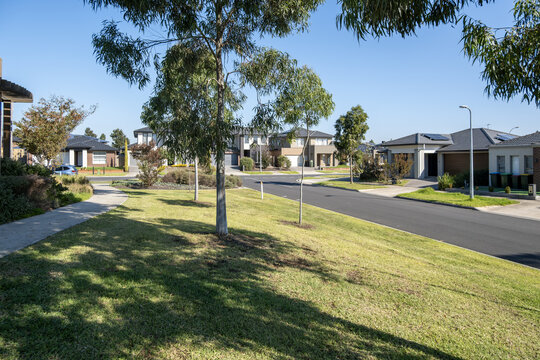 A grassy neighborhood reserve with young eucalyptus trees bordering a quiet residential street of modern&nbsp;homes.&nbsp;Suburban green spaces, housing estates, and suburban living in Melbourne Australia