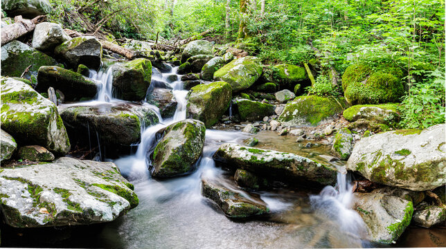 Le Conte Creek Flowing Over Moss Covered Boulders Along The Rainbow Falls Trail, Great Smoky Mountains National Park, Tennessee, USA