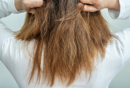 Cropped shot view of Asian women's with damaged split ended hair.