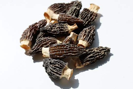 Dried morel mushrooms on white background.