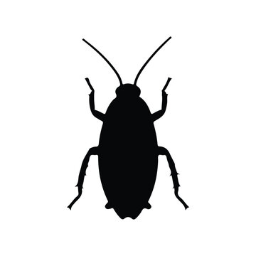 Cockroach insect pest Silhouette vector illustration
